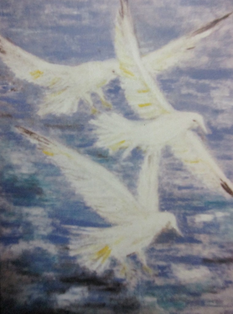 Gulls-oil on canvas-50x70cm