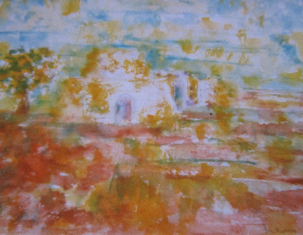 Pajara-watercolour-30x40cm